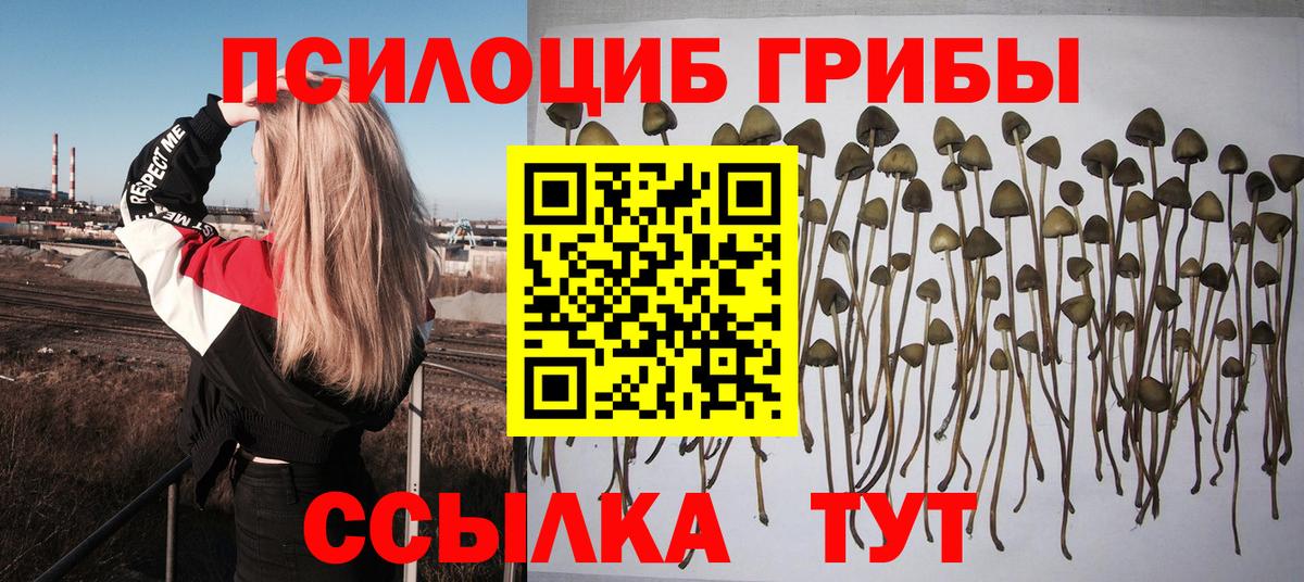 Галлюциногенные грибы Psilocybine cubensis  продажа наркотиков  Топки  Галлюциногенные грибы мицелий  Вход с VPN 