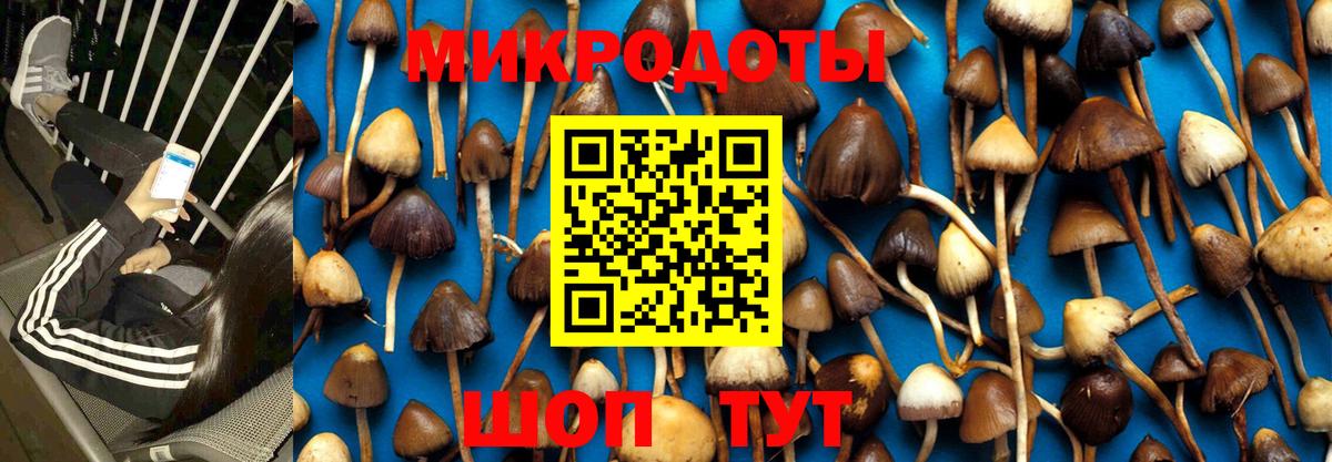 Псилоцибиновые грибы прущие грибы Топки